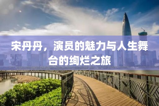 宋丹丹，演员的魅力与人生舞台的绚烂之旅