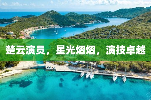 楚云演员，星光熠熠，演技卓越