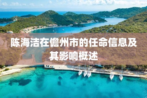 陈海洁在儋州市的任命信息及其影响概述