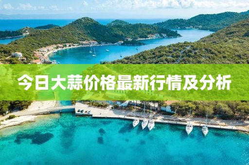 今日大蒜价格最新行情及分析