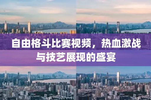 自由格斗比赛视频，热血激战与技艺展现的盛宴