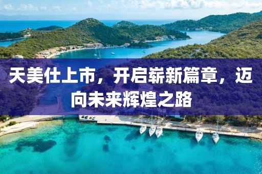 天美仕上市，开启崭新篇章，迈向未来辉煌之路