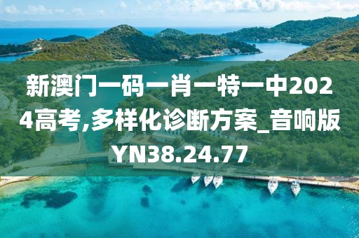 新澳门一码一肖一特一中2024高考,多样化诊断方案_音响版YN38.24.77