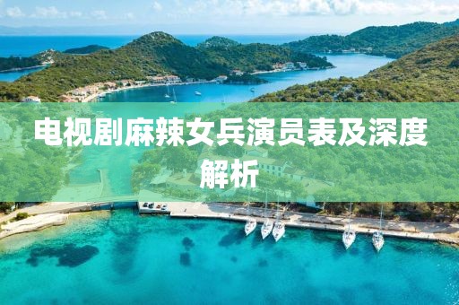 电视剧麻辣女兵演员表及深度解析