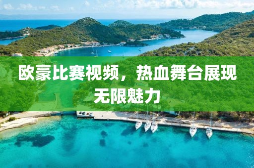 欧豪比赛视频，热血舞台展现无限魅力