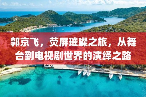 郭京飞，荧屏璀璨之旅，从舞台到电视剧世界的演绎之路