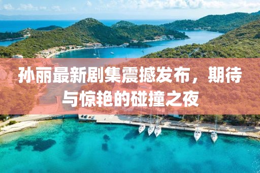 孙丽最新剧集震撼发布，期待与惊艳的碰撞之夜
