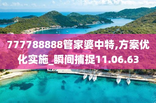 777788888管家婆中特,方案优化实施_瞬间捕捉11.06.63