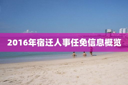 2016年宿迁人事任免信息概览