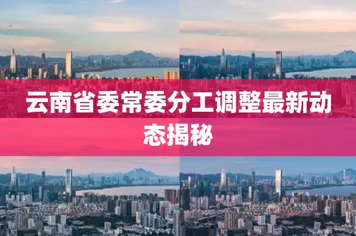 云南省委常委分工调整最新动态揭秘