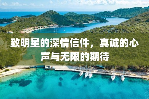致明星的深情信件，真诚的心声与无限的期待