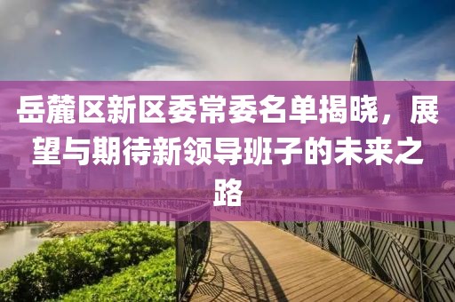 岳麓区新区委常委名单揭晓，展望与期待新领导班子的未来之路
