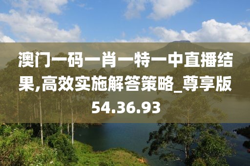 澳门一码一肖一特一中直播结果,高效实施解答策略_尊享版54.36.93