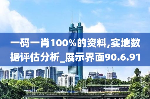 一码一肖100%的资料,实地数据评估分析_展示界面90.6.91