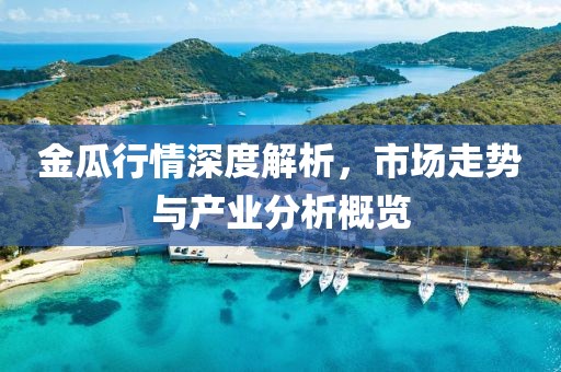 金瓜行情深度解析，市场走势与产业分析概览