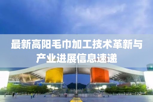 最新高阳毛巾加工技术革新与产业进展信息速递