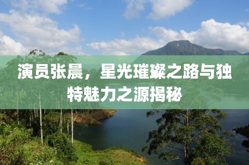 演员张晨，星光璀璨之路与独特魅力之源揭秘