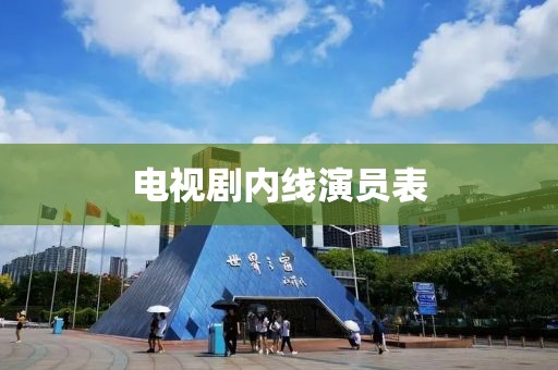 电视剧内线演员表
