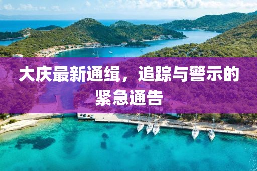 大庆最新通缉，追踪与警示的紧急通告