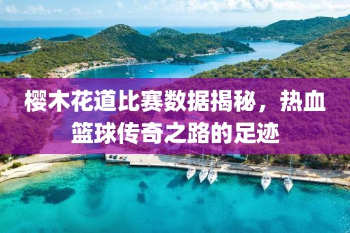 樱木花道比赛数据揭秘，热血篮球传奇之路的足迹