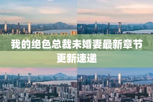 我的绝色总裁未婚妻最新章节更新速递