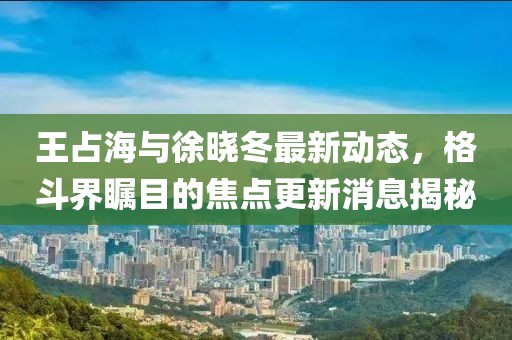王占海与徐晓冬最新动态，格斗界瞩目的焦点更新消息揭秘