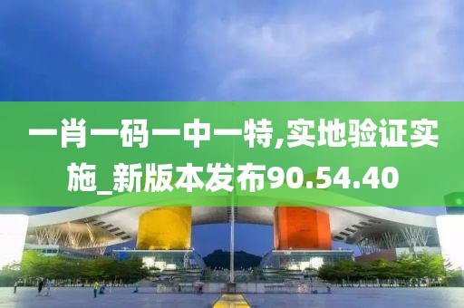一肖一码一中一特,实地验证实施_新版本发布90.54.40