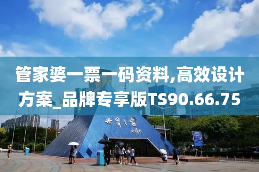 管家婆一票一码资料,高效设计方案_品牌专享版TS90.66.75
