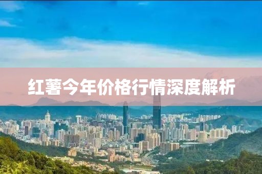 红薯今年价格行情深度解析