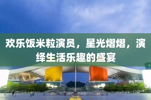 欢乐饭米粒演员，星光熠熠，演绎生活乐趣的盛宴