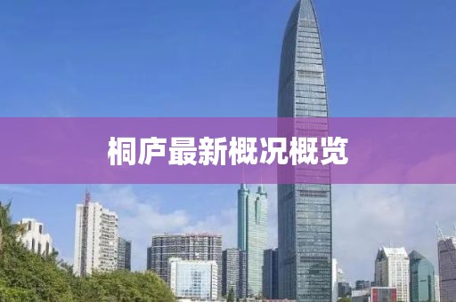 桐庐最新概况概览