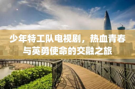 少年特工队电视剧，热血青春与英勇使命的交融之旅