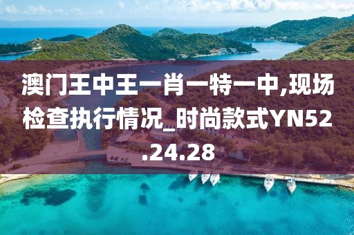 澳门王中王一肖一特一中,现场检查执行情况_时尚款式YN52.24.28