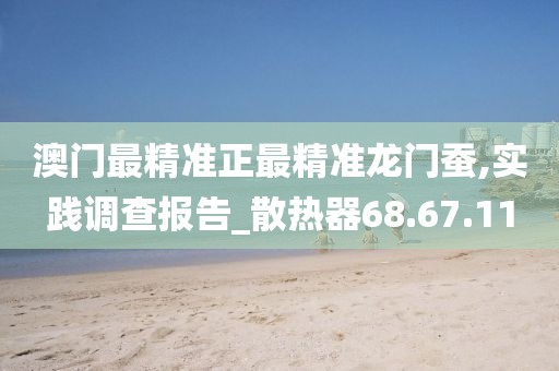 澳门最精准正最精准龙门蚕,实践调查报告_散热器68.67.11