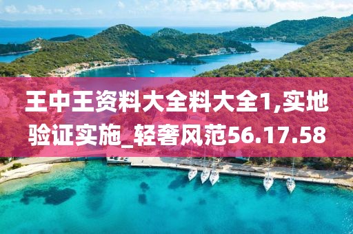 王中王资料大全料大全1,实地验证实施_轻奢风范56.17.58