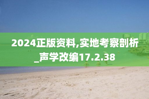 2024正版资料,实地考察剖析_声学改编17.2.38