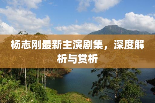 杨志刚最新主演剧集，深度解析与赏析