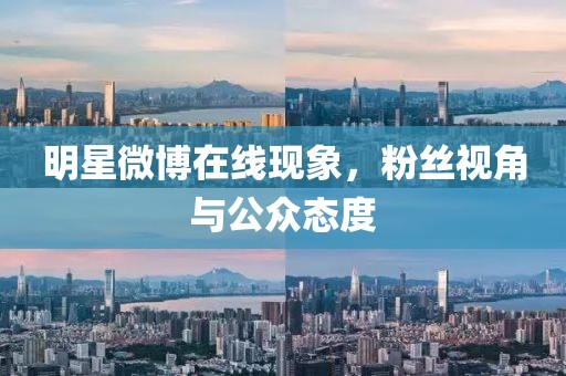 明星微博在线现象，粉丝视角与公众态度