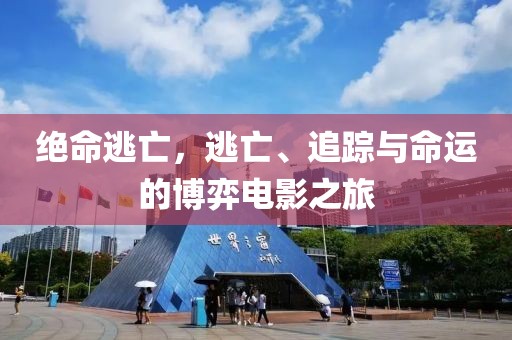 绝命逃亡，逃亡、追踪与命运的博弈电影之旅