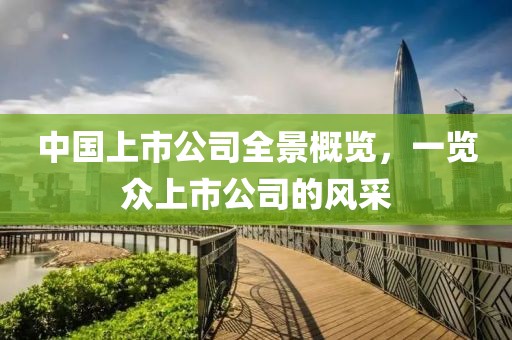 中国上市公司全景概览，一览众上市公司的风采