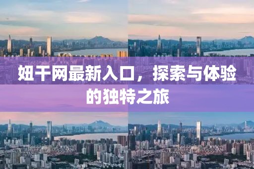 妞干网最新入口，探索与体验的独特之旅