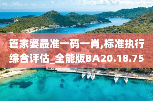 管家婆最准一码一肖,标准执行综合评估_全能版BA20.18.75