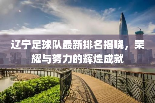 辽宁足球队最新排名揭晓，荣耀与努力的辉煌成就