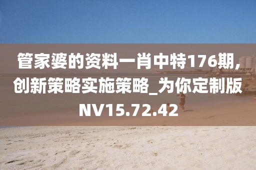 管家婆的资料一肖中特176期,创新策略实施策略_为你定制版NV15.72.42