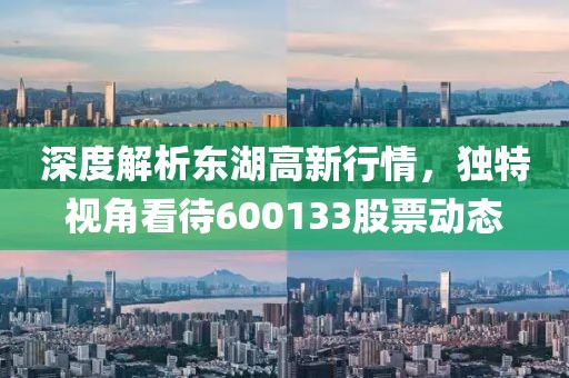 深度解析东湖高新行情，独特视角看待600133股票动态