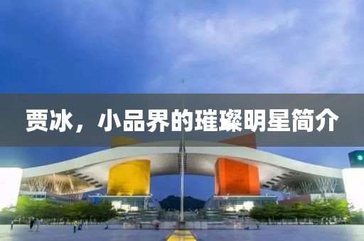 贾冰，小品界的璀璨明星简介