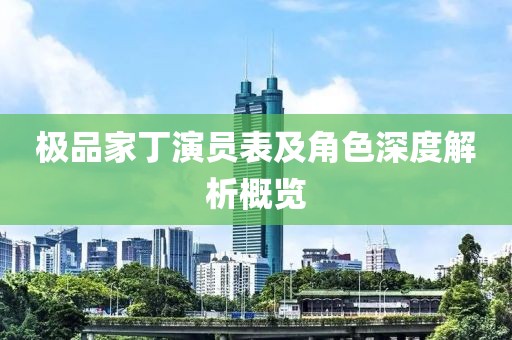 极品家丁演员表及角色深度解析概览