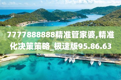 7777888888精准管家婆,精准化决策策略_极速版95.86.63