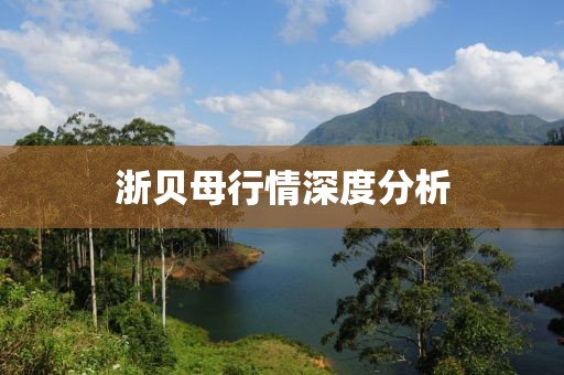浙贝母行情深度分析