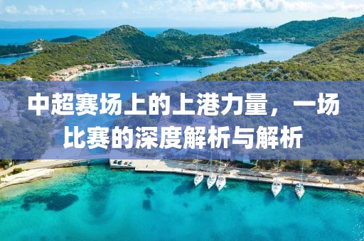 中超赛场上的上港力量，一场比赛的深度解析与解析